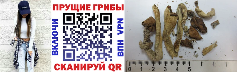 Псилоцибиновые грибы Magic Shrooms  Усмань 